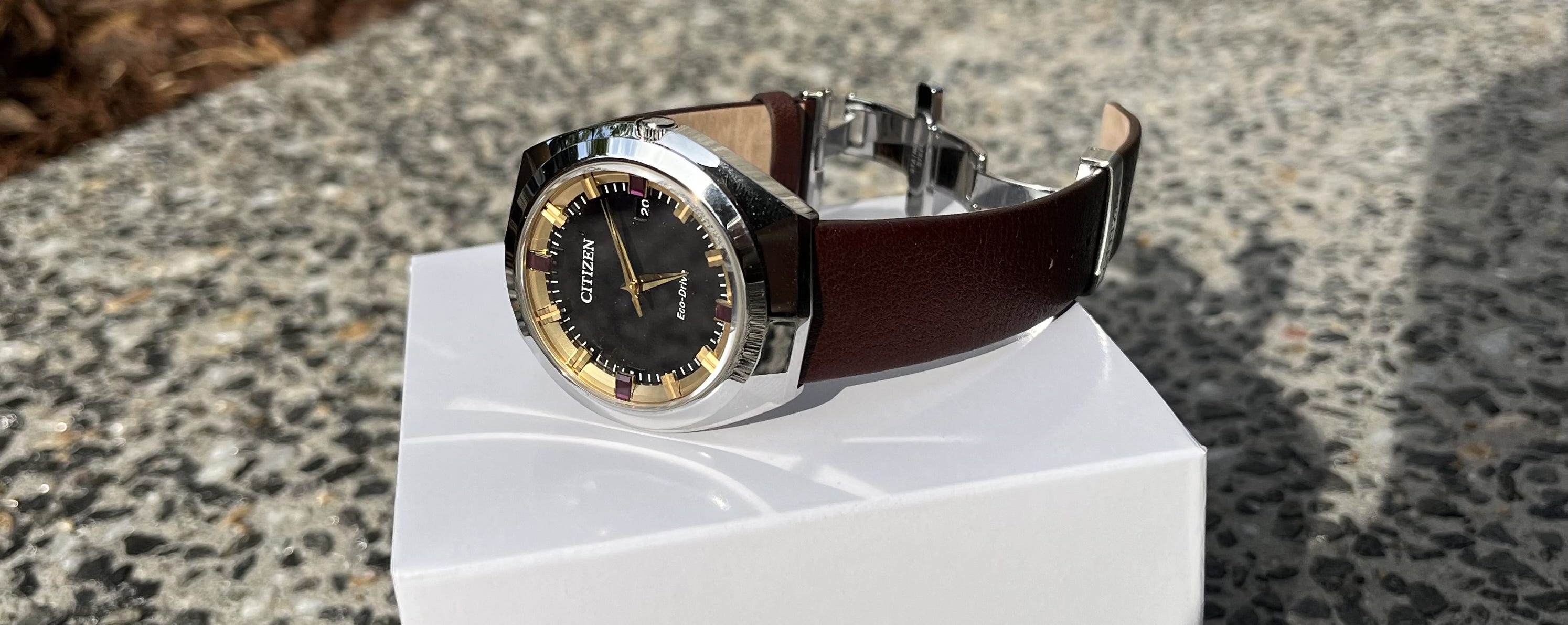 Let The Light Shine On Citizen’s New BN1010-05E Limited Edition Eco-Drive 365 Watch